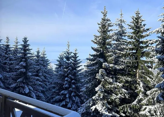 Suncani Breg & Apartamento Kopaonik
