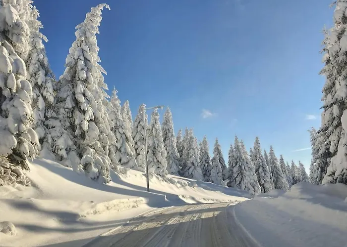 Suncani Breg & Apartamento